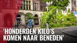 Boom omgevallen op de Dam