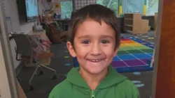 Boy dies after being hit by falling driftwood