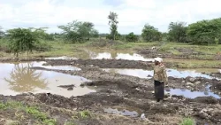 Africa overtakes Asia as world's hunger hot spot, UN report finds