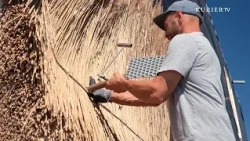 Reed Instead of Tiles: The Comeback of an Ancient Craft