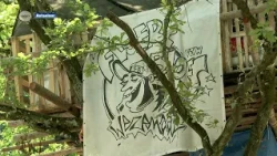 Nick from youth center De Floere Bloes lives in a treehouse for an entire week