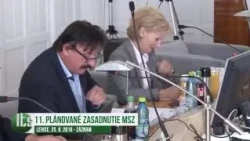 11. plánované zasadnutie MsZ v Leviciach - záznam