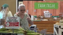 Central Pennsylvania Food Bank launches program to help local farmers affected by April freeze