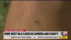 More West Nile cases reported in Cumberland County
