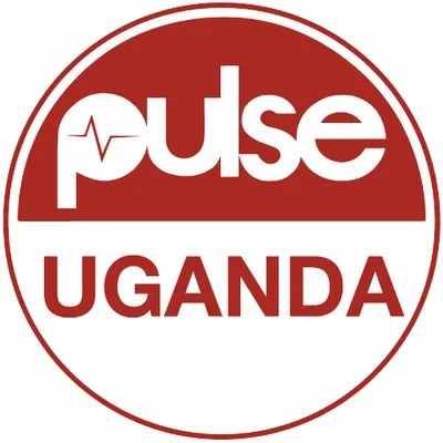 Pulse Africa Television