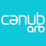 ARB Cənub